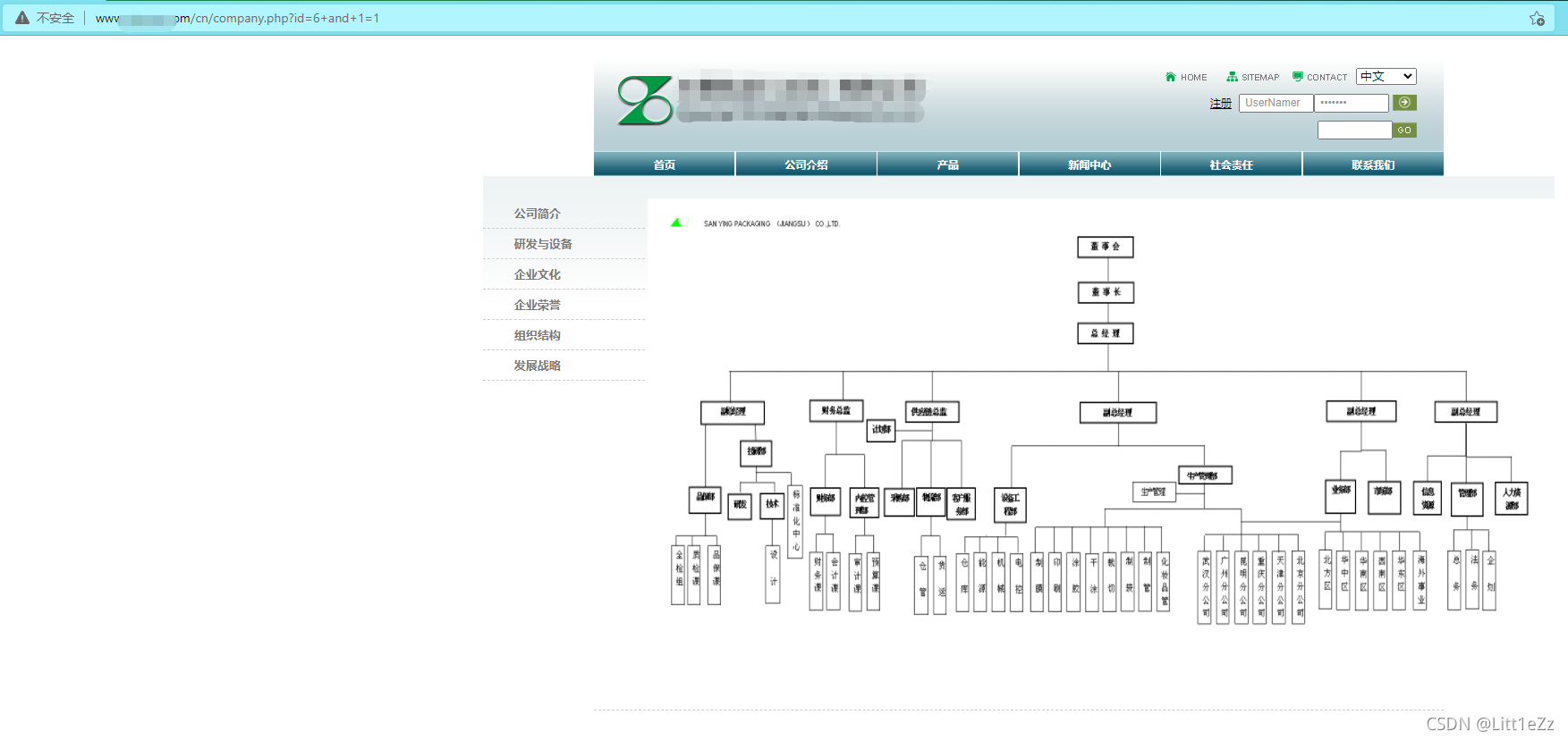 SQL注入实战 绕WTS-WAF